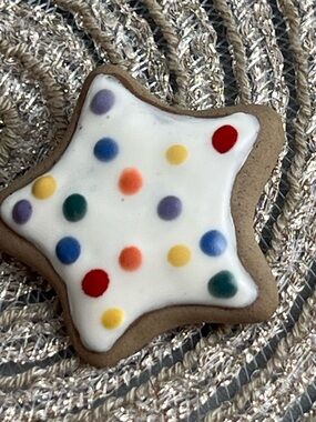 Kawaii BROOCH! Frosted Star Cookie Food Design Brooch Pin Cute Adorable Kitschy